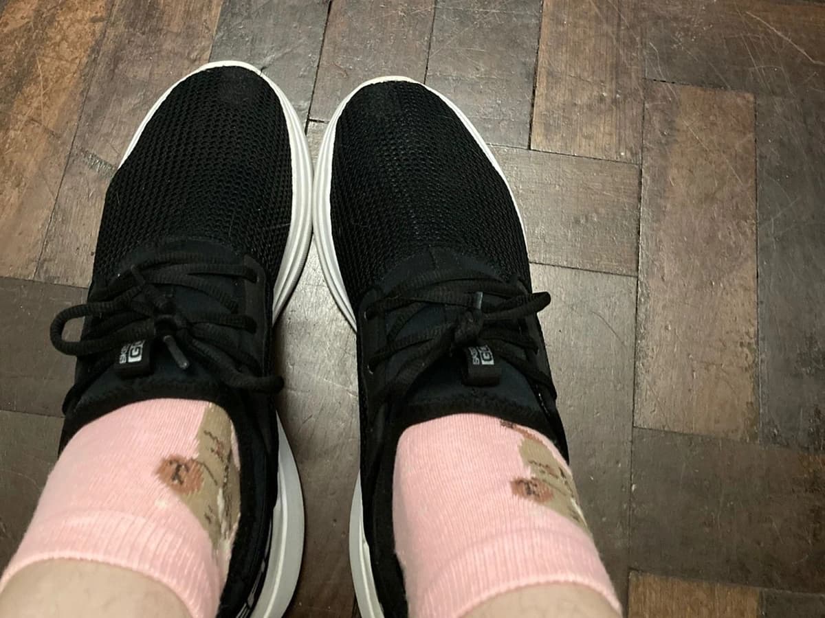 Tenis com chule usado por 6 anos e ainda usando (Marca original Skechers)